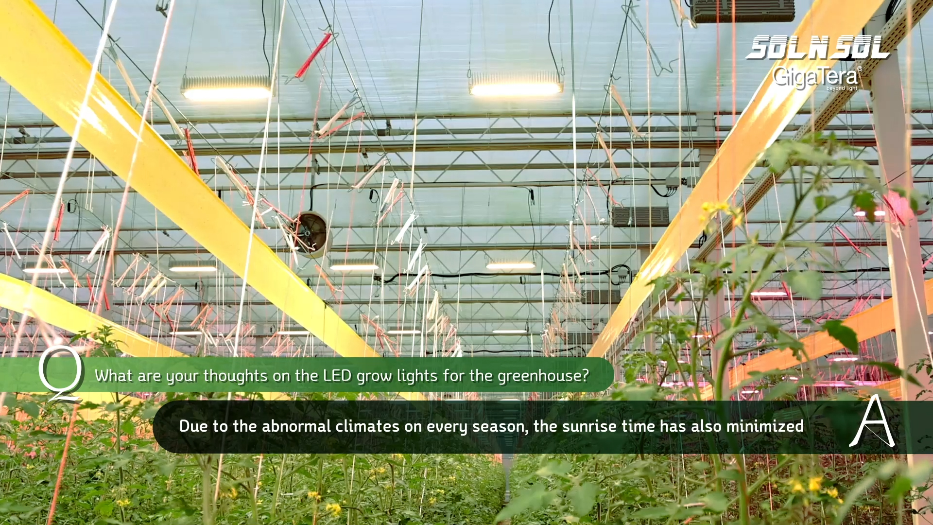 SOLNSOL Goheung Tomato Greenhouse Demonst..